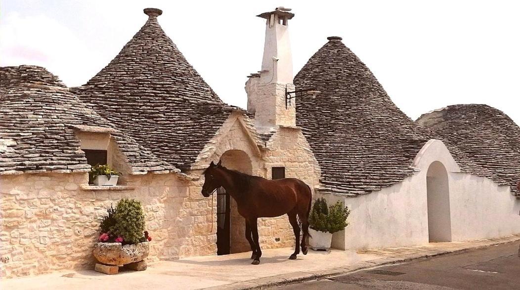 Trulli Resort Dimore Storiche アルベロベッロ エクステリア 写真