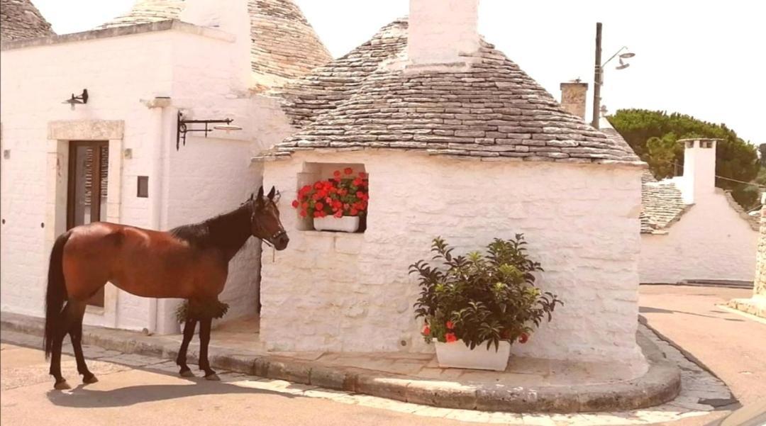 Trulli Resort Dimore Storiche アルベロベッロ エクステリア 写真